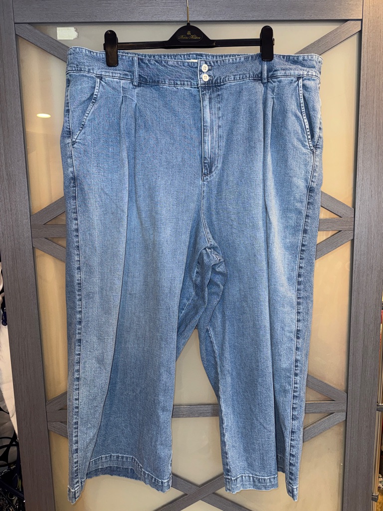 Madewell Women’s Plus Light Blue Denim Jeans Size 24